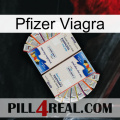 Pfizer Viagra kamagra1
